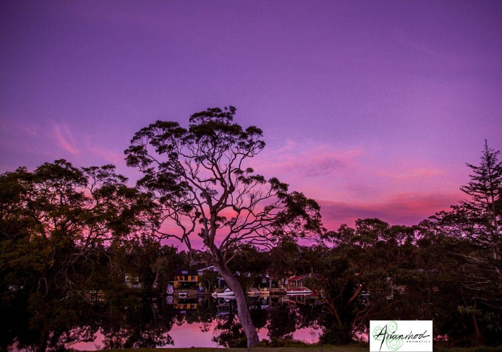 Australian Sunset